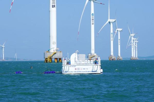 福建：海上风电助力“双碳”目标