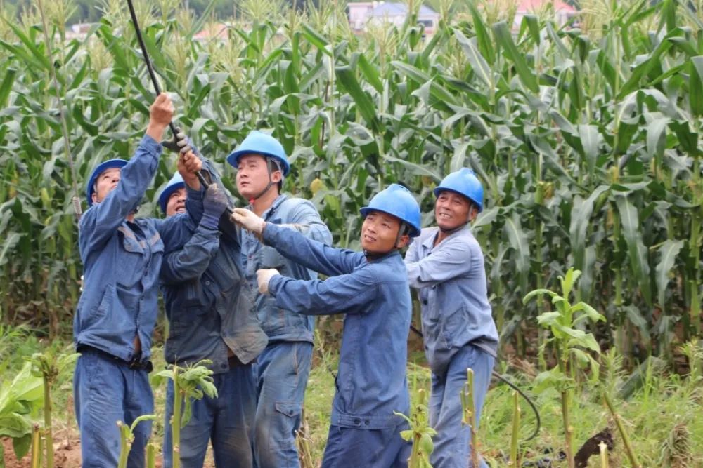 6月18日，暴雨过后，国网福建厦门供电公司员工刘家泽、杨合里等在福建龙岩上杭县白砂镇坝上村支援，为新组立的10千伏白塘线62号杆架设导线。.jpg