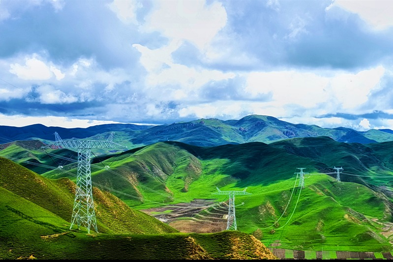 国家电网以生态含绿量提升发展含金量