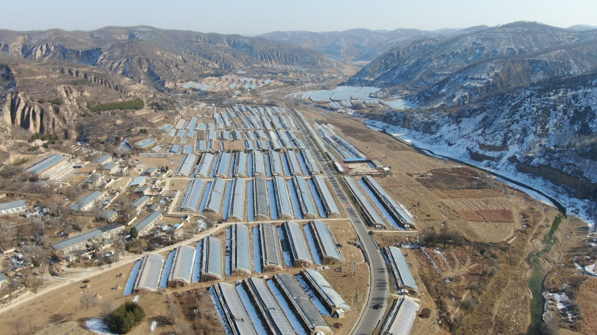 e5855b421f36c7ff5bea7b47a7e50626_690c3e8ee4b011bbe139f26a.png e5855b421f36c7ff5bea7b47a7e50626_690c3e8ee4b011bbe139f26a.png