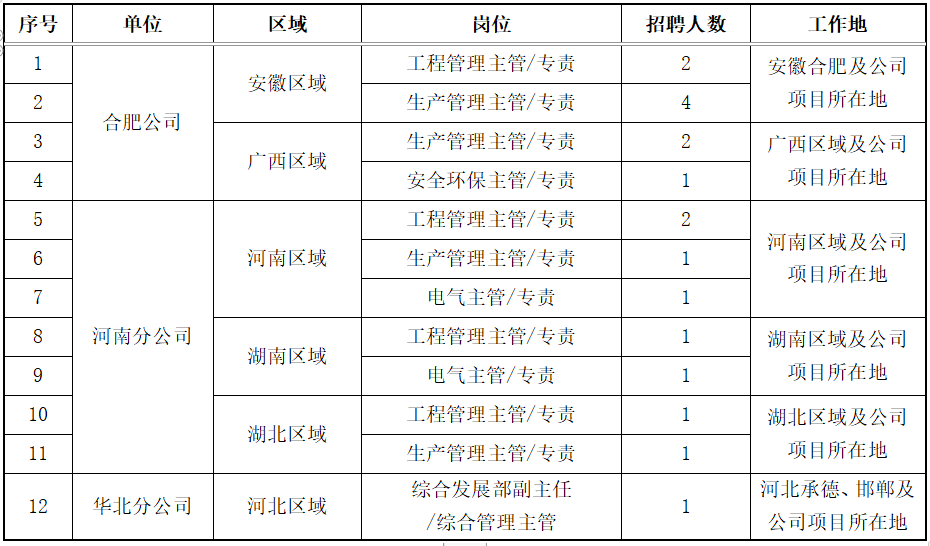 国家电投安徽公司招聘公告