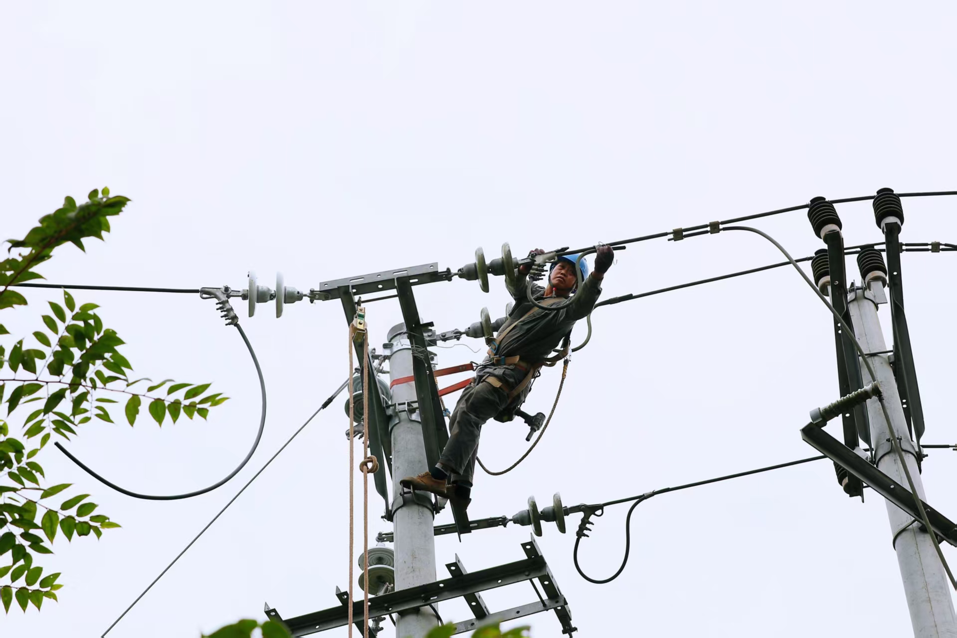 图片1.png 图片1.png