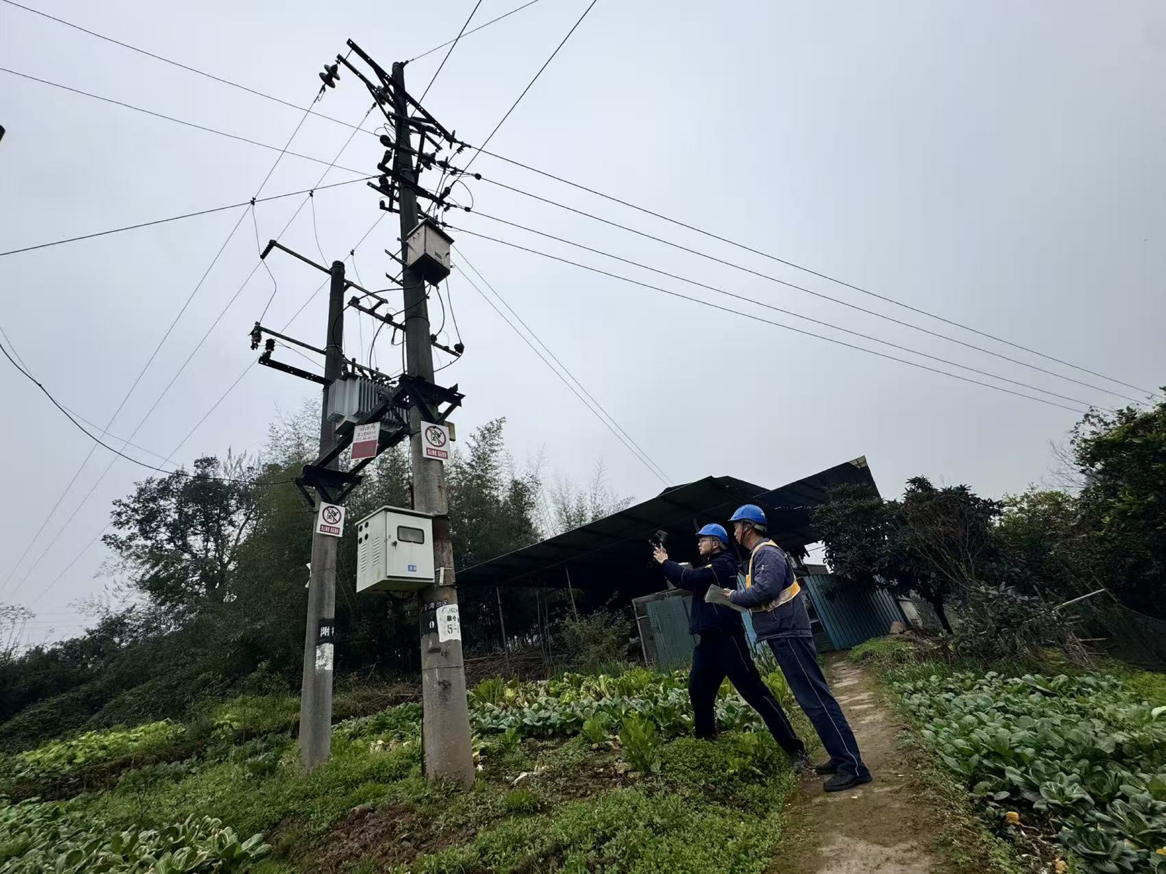 2026年2月3日，歇马供电所工作人员何开兴、胡键飞在歇小线开展春节前保供电特巡及隐患消缺专项行动.jpg