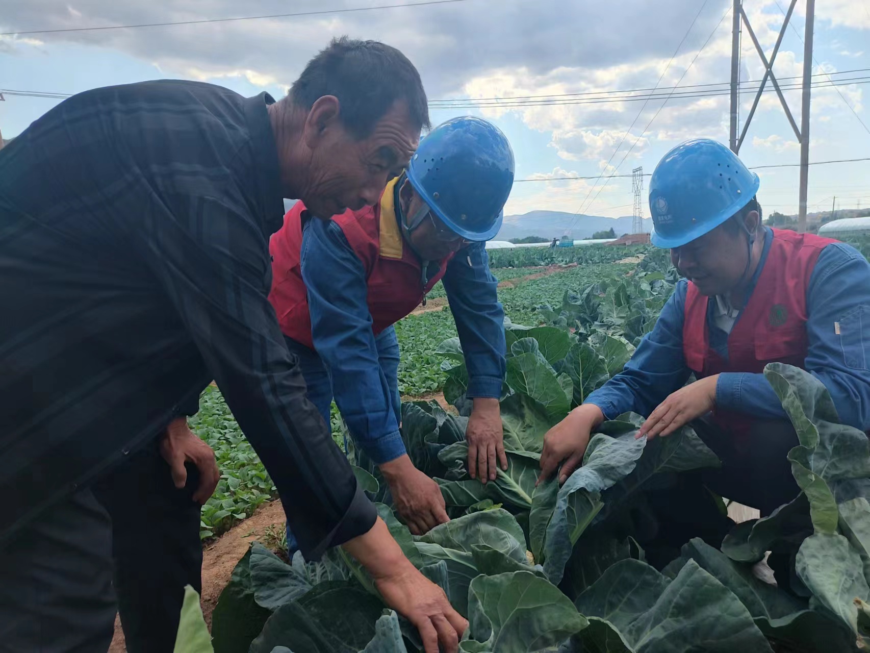 国网兰州供电公司花庄供电所员工向种植户了解蔬菜长势及灌溉用电情况。陈正祥摄.jpg