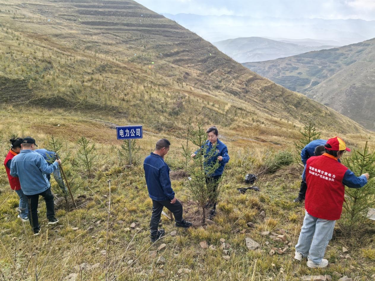 国网岷县供电公司:金秋忙植绿奋力造青山