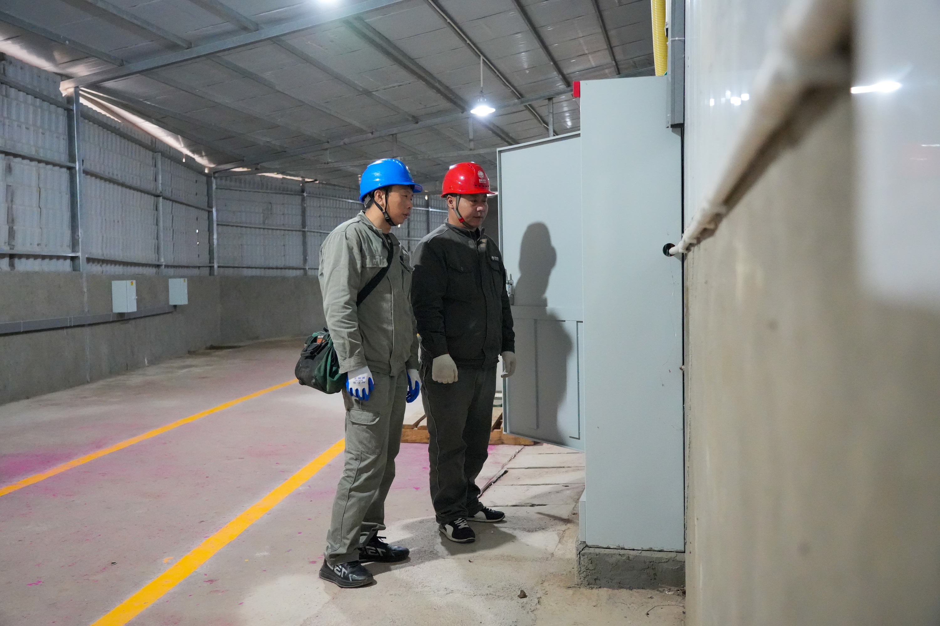 DSC00894.jpg DSC00894.jpg